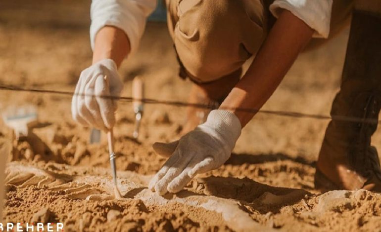 4 bin yıllık iskelet gizemi çözdü! Kadınlar böyle yük taşıyormuş…