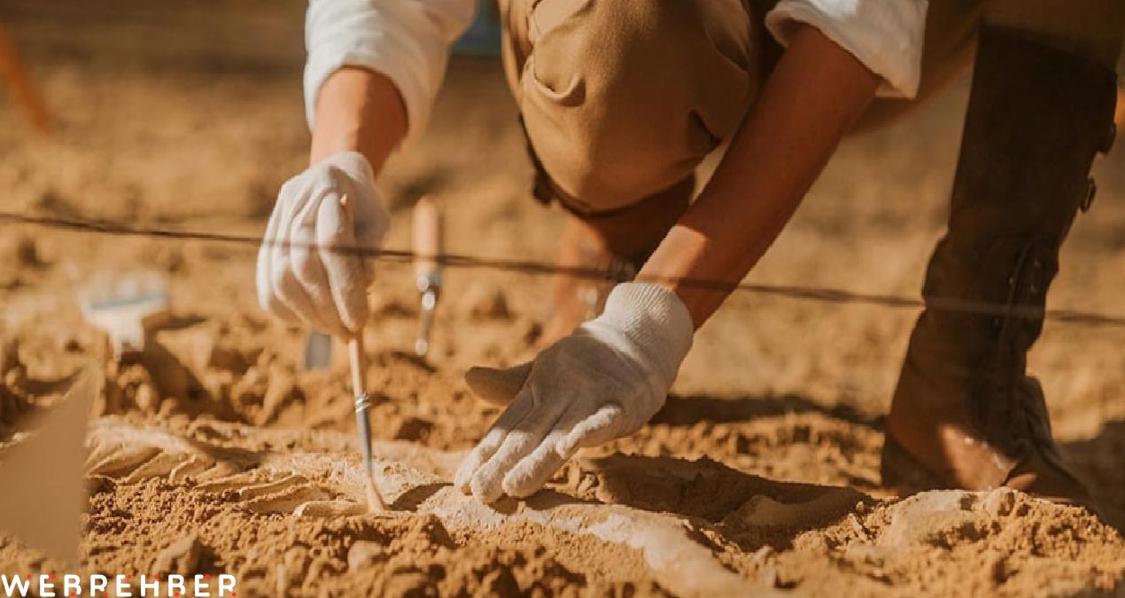 4 bin yıllık iskelet gizemi çözdü! Kadınlar böyle yük taşıyormuş…