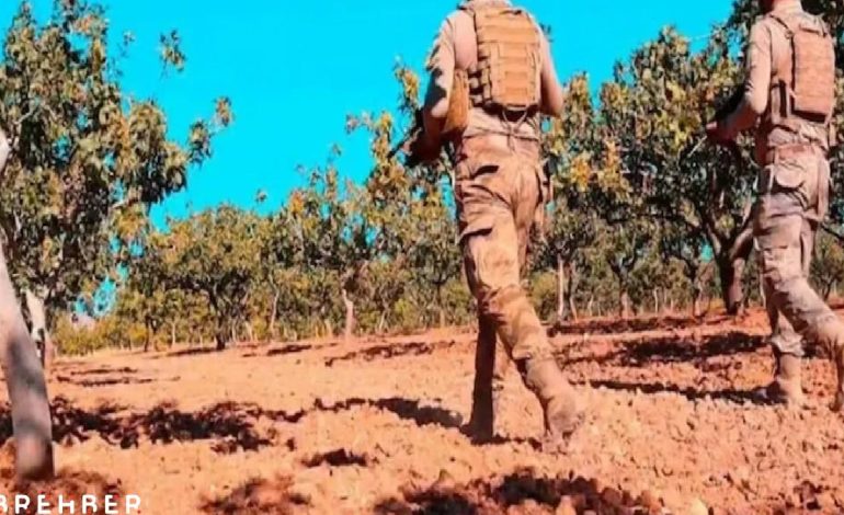 500 bin liralık fındığı çalıp kaçtı, Jandarma ekipleri kıskıvrak yakaladı