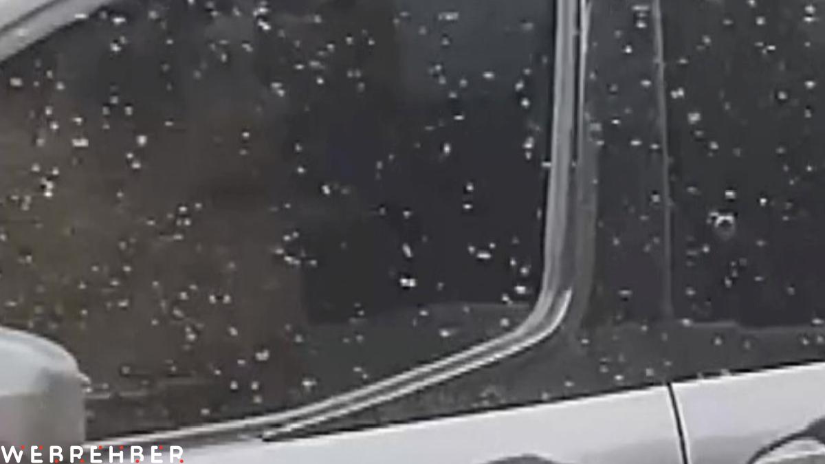 Adana’da yükselen sıcaklıklarla birlikte sinekler de arttı