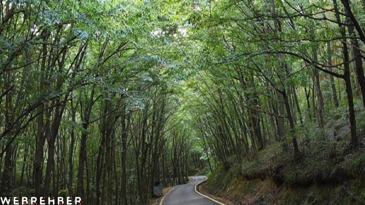 Antalya’da 1 Mayıs’ta ormanlara giriş yasağı başlıyor
