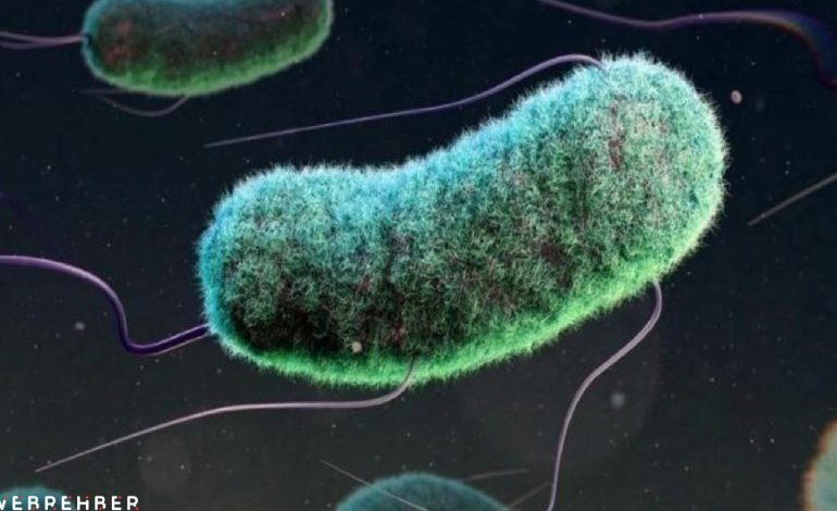 Antibiyotik direnci bir yılda üç milyon çocuğun ölümüyle ilişkilendiriliyor