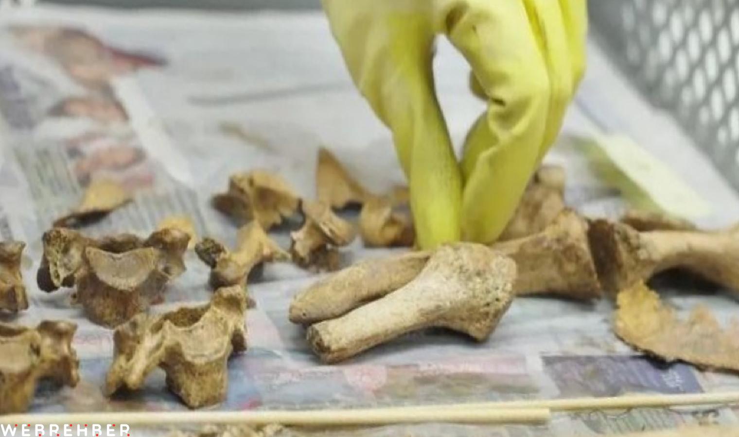 Arkeolojik keşifte ‘kanlı’ tarih ortaya çıktı: 150 Roma askerinin toplu mezarı bulundu