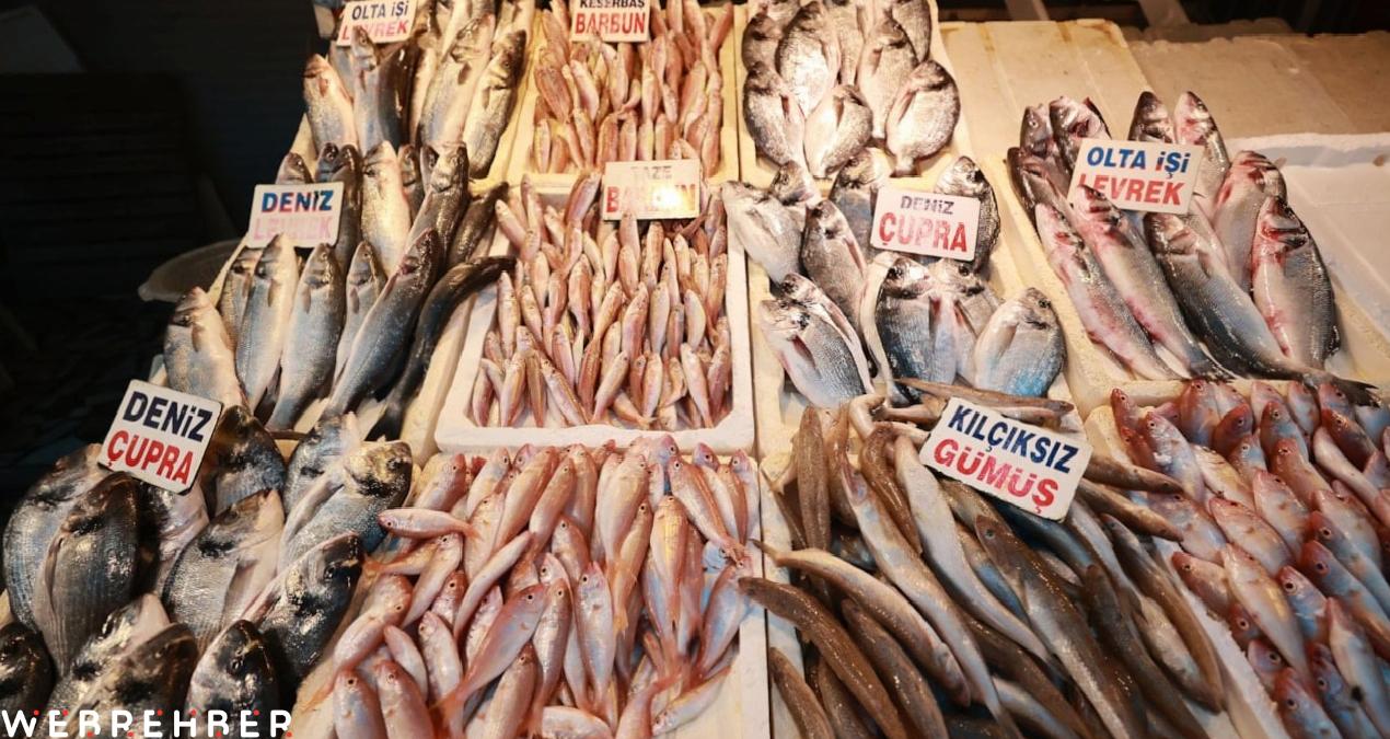 Av yasağı başladı ama bereket bitmedi: Gözler uluslararası sularda