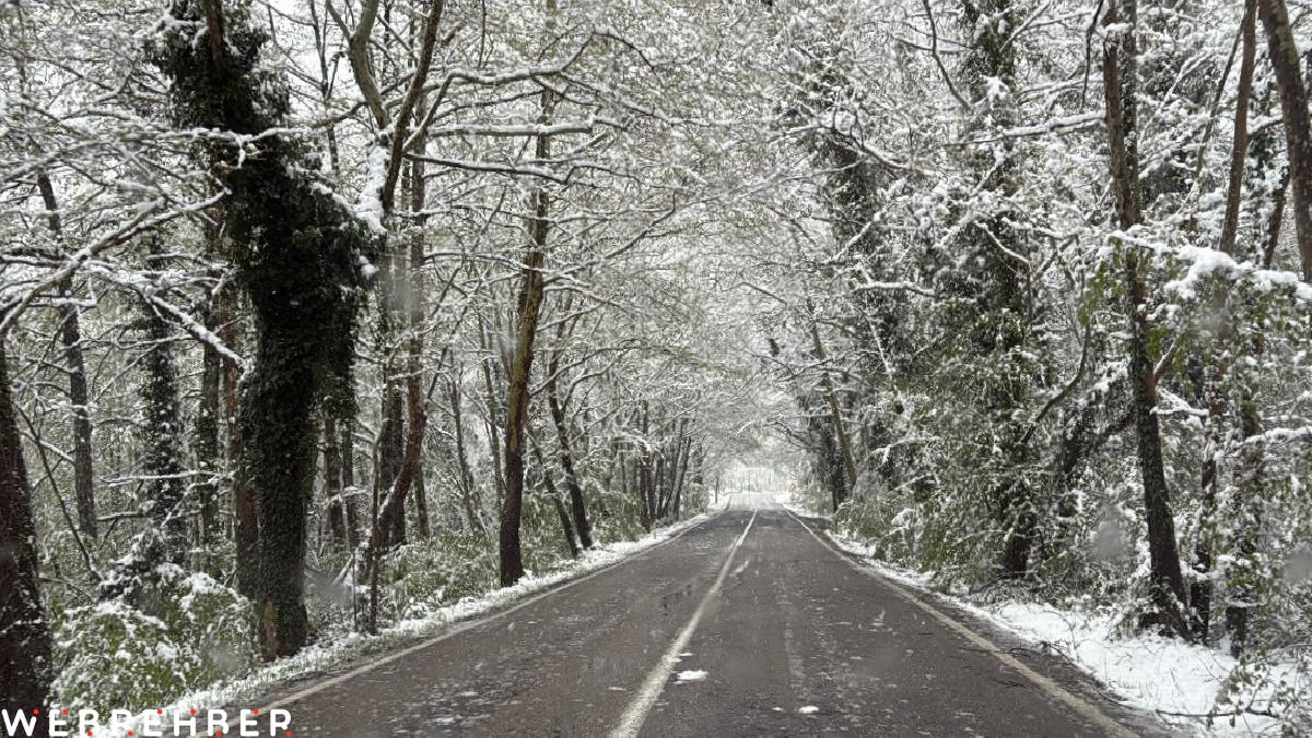 Bartın’daki ağaç tünel yol karla kaplandı