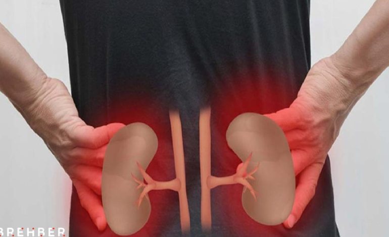 Böbreklerinizi yavaş yavaş tüketen 7 alışkanlık: Herkes düzenli yapıyor…