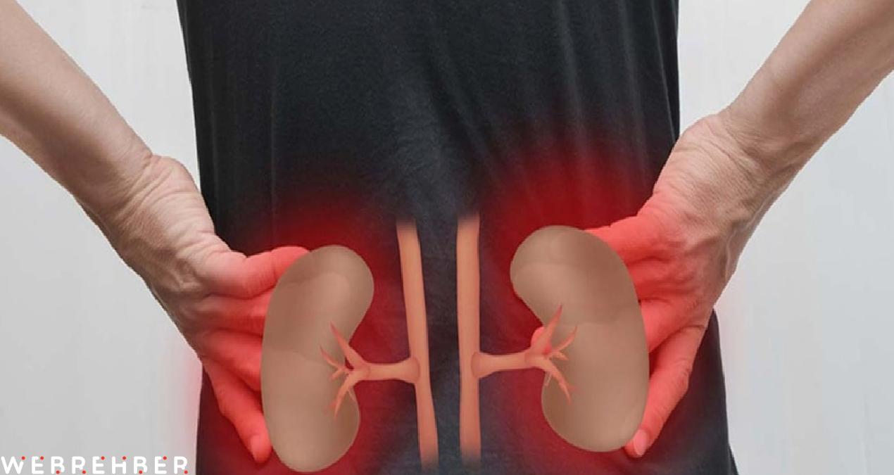 Böbreklerinizi yavaş yavaş tüketen 7 alışkanlık: Herkes düzenli yapıyor…
