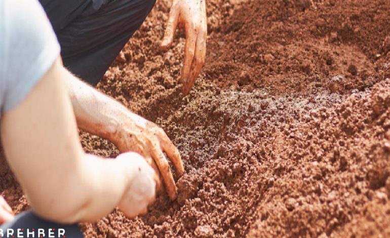 Büyük İskender’in babası sandığımız kişi meğer O değilmiş!