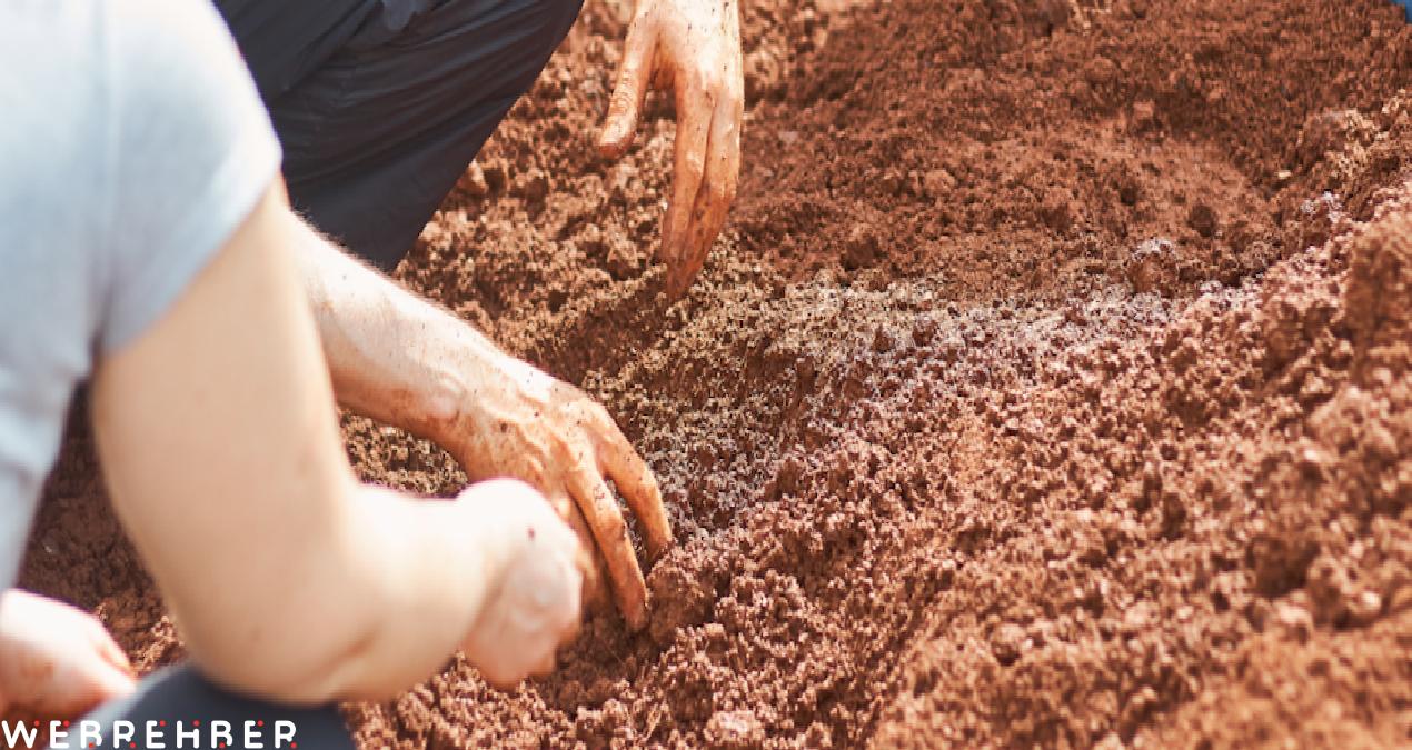 Büyük İskender’in babası sandığımız kişi meğer O değilmiş!