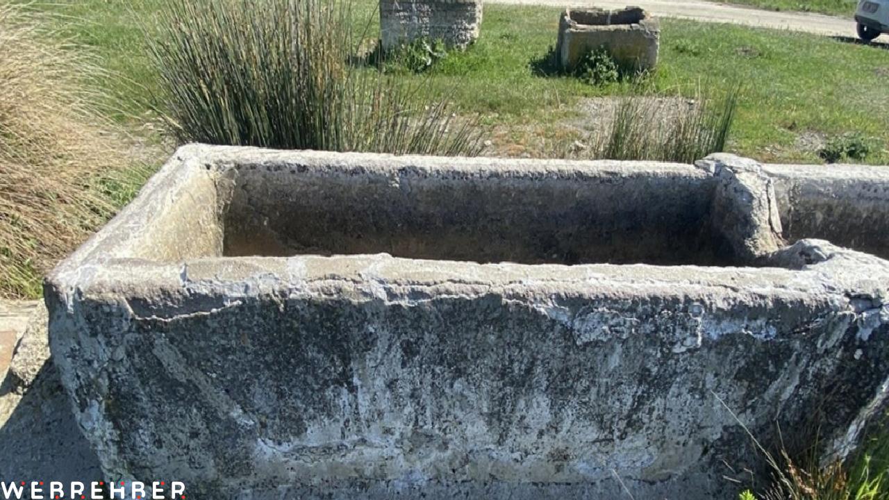 Çanakkale’de, İngiliz ve Fransızlar buldukları eserleri yağmalamış