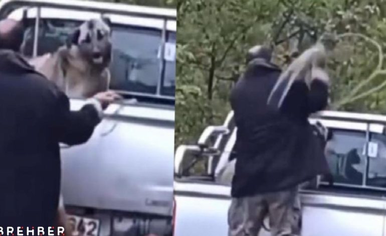 Cani adam köpeğe halatla işkence etti