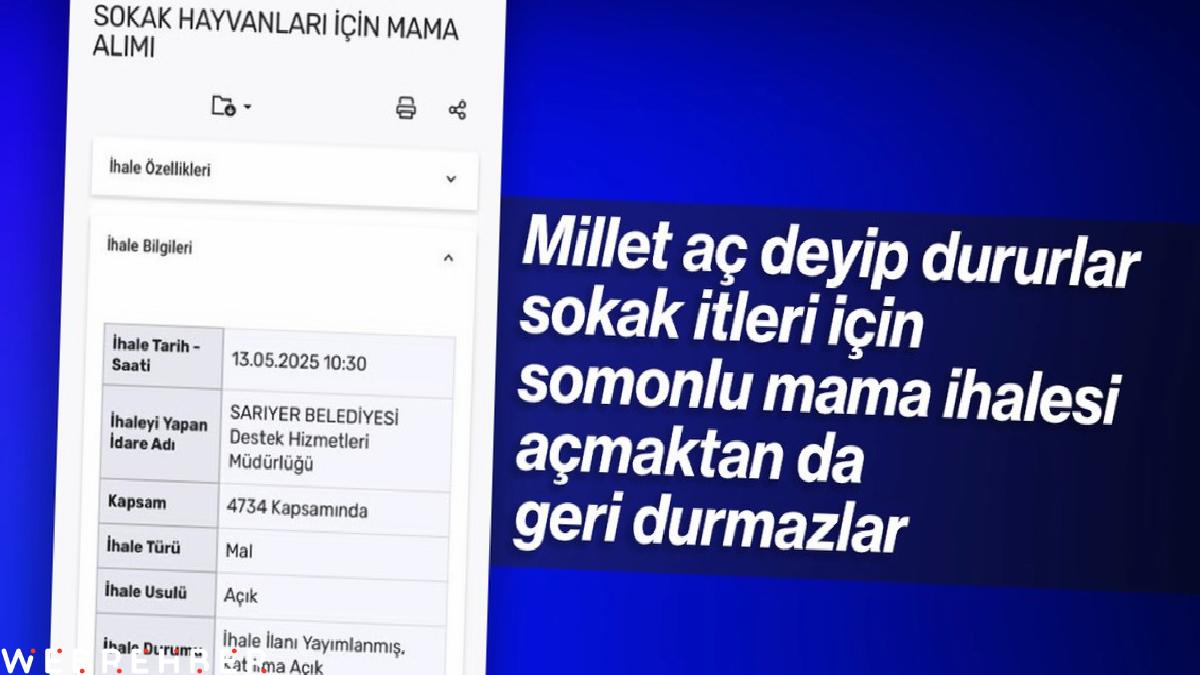 CHP’li Sarıyer Belediyesi’nden başıboş köpekler için ‘somonlu mama’ ihalesi