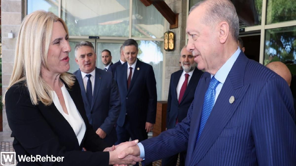 Cumhurbaşkanı Erdoğan, Bosna-Hersek Başkanlık Konseyi üyeleri ile görüştü
