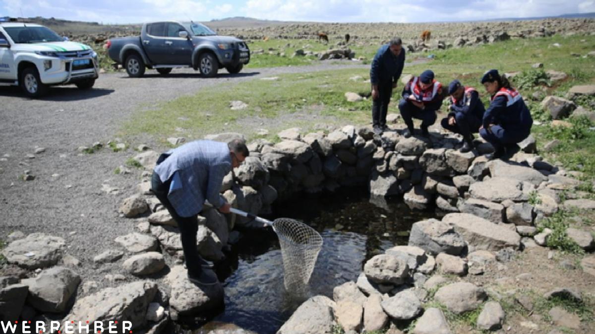 Diyarbakır, Mardin ve Şanlıurfa’nın kesişimindaki ‘doğal akvaryum’ turizme açılıyor