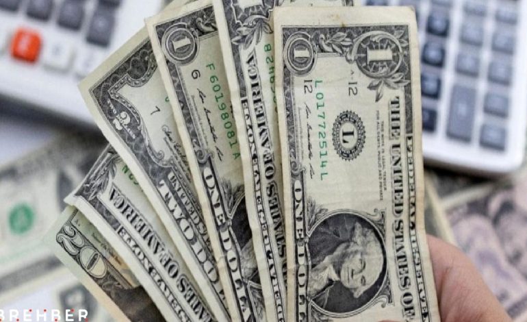 Dolar dünyada çakıldı Türkiye’de yaprak kımıldamadı!