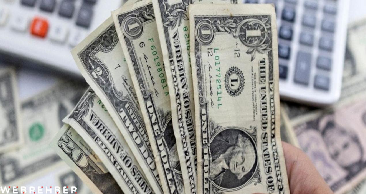 Dolar dünyada çakıldı Türkiye’de yaprak kımıldamadı!