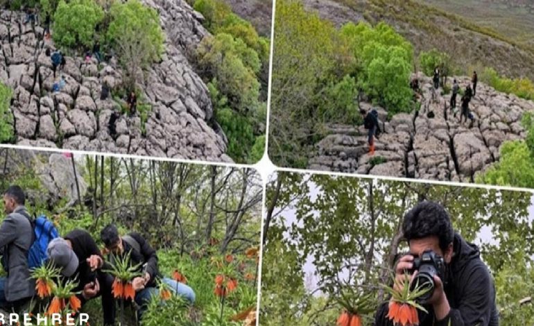 Fotoğraf tutkunlarının yeni rotası: Görese Dağı