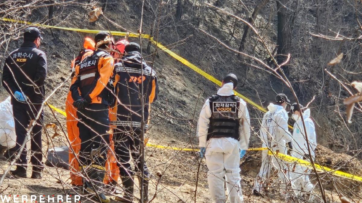 Güney Kore’deki orman yangınlarında bilanço