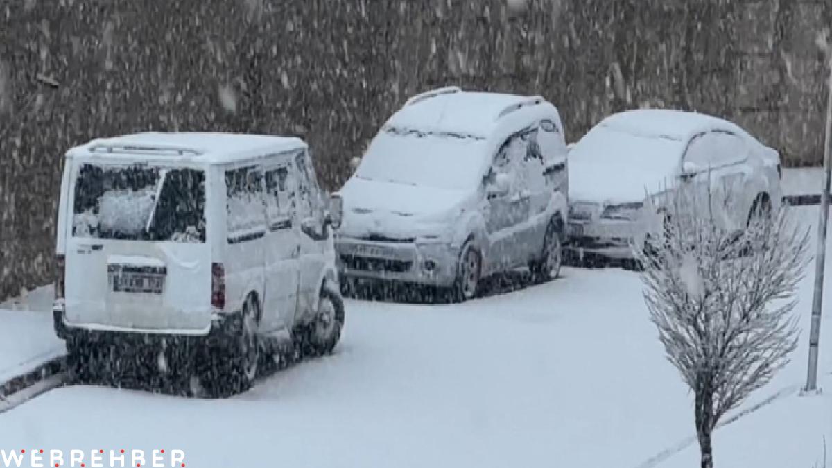 Hakkari’de nisan ayında lapa lapa kar yağışı