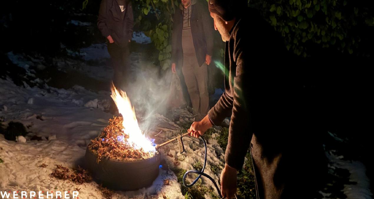 Hasat başladı: Tarladaki mahsul servet değerinde olunca gece gündüz başında nöbet tutuldu