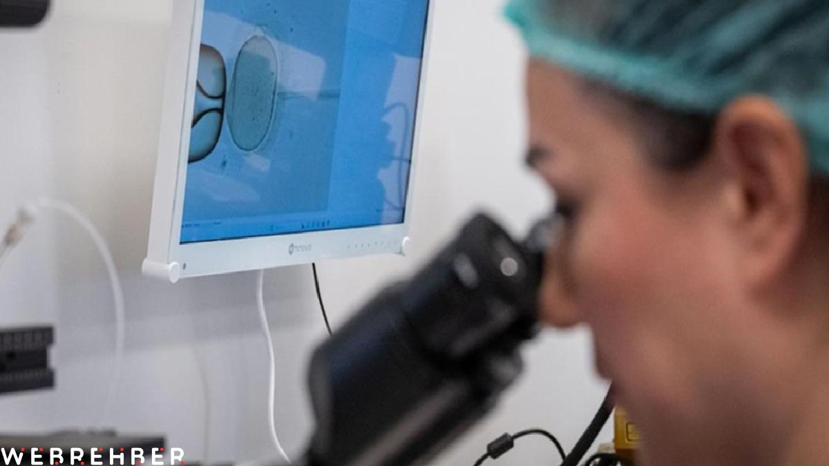 Hollanda’da 85 sperm donörünün binlerce çocuğa babalık yaptığı skandalı