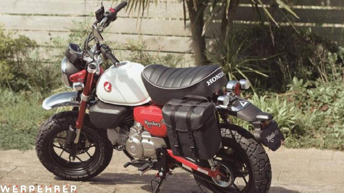 Honda’nın yenilenen mini motosikleti Monkey Türkiye’de
