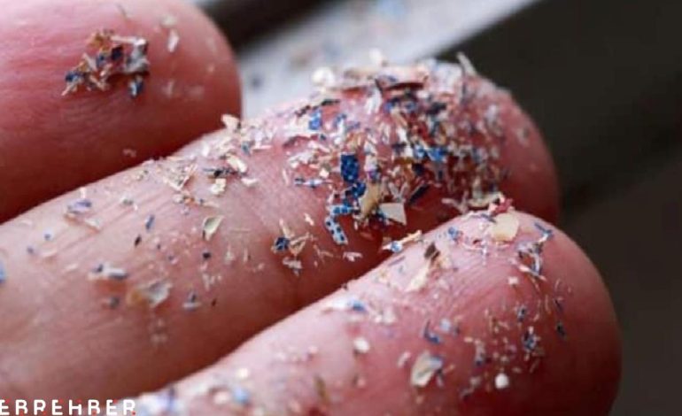 İnsan yumurtalık sıvısında ilk kez mikroplastik bulundu