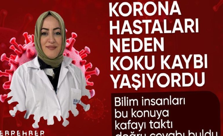 Kovid-19’un kalıcı koku kaybıyla bağlantısı çözüldü