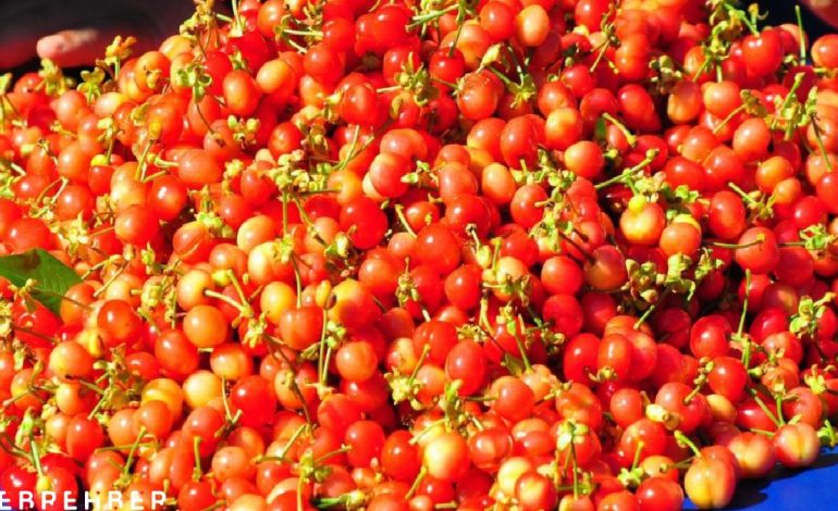 Manisa’da sezonunu ilk kirazı 3 bin 500 TL’den satıldı