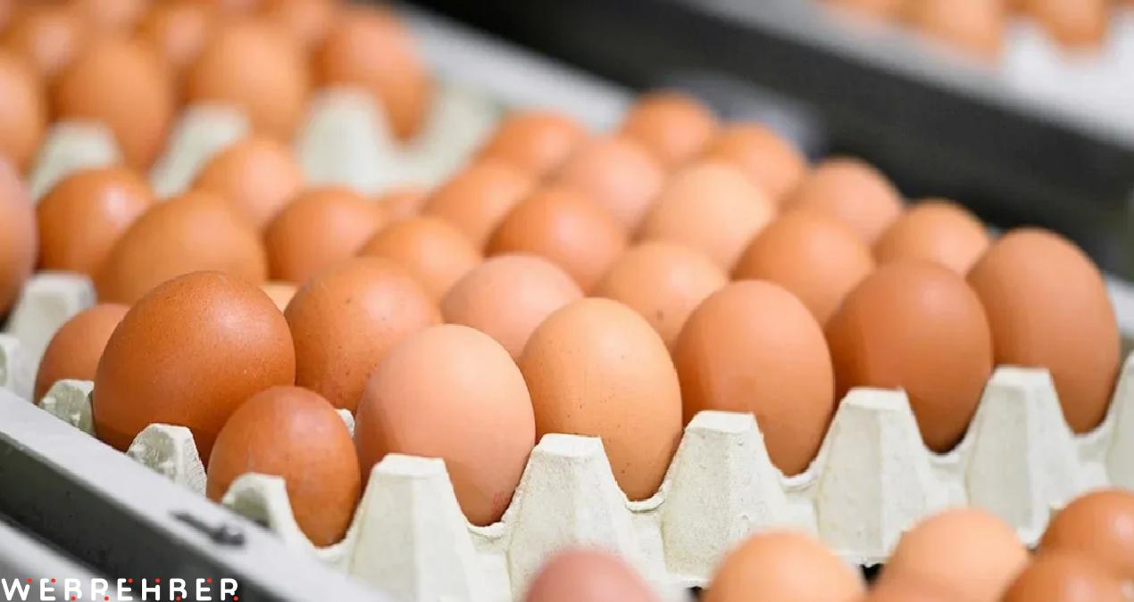 Marketlerde kahverengi yumurta satışı yasaklanıyor: Nedeni sağlıksız olmaları değil