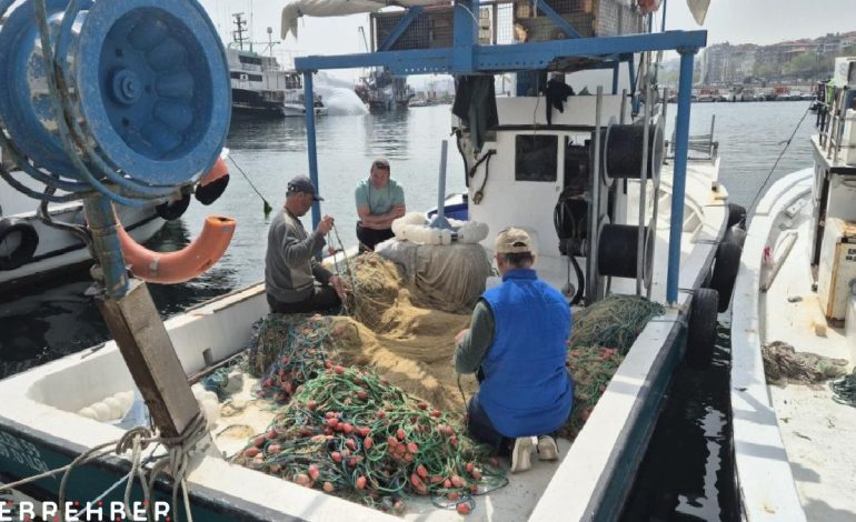 Marmara Denizi’nde müsilaj: Balık etine zarar veriyor mu?