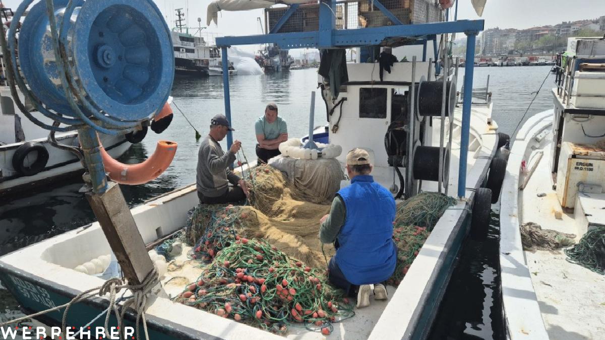 Marmara Denizi’nde müsilaj: Balık etine zarar veriyor mu?