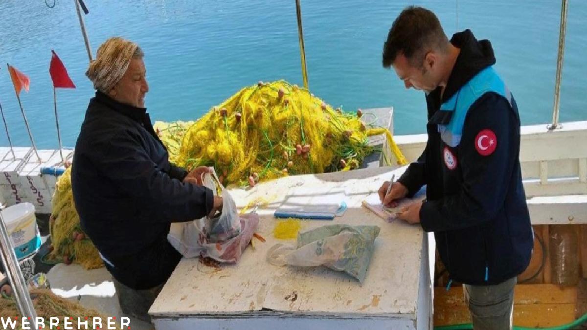 Muğla’da denizlerde av yasağının ilk gününde denetimler başladı