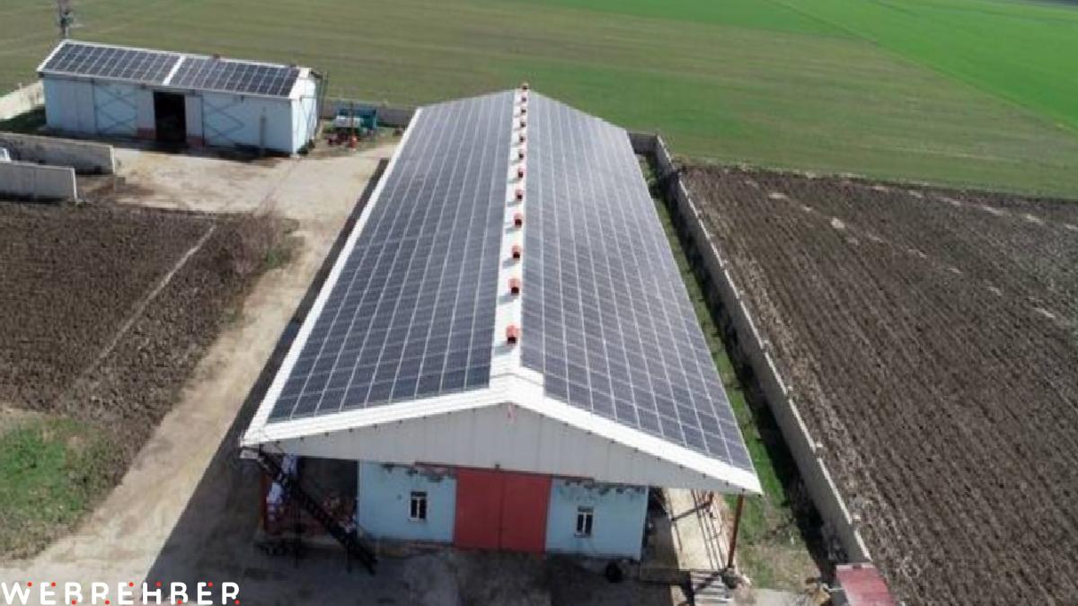Muş’ta enerji ve et üretimi harmanlanan çiftlik