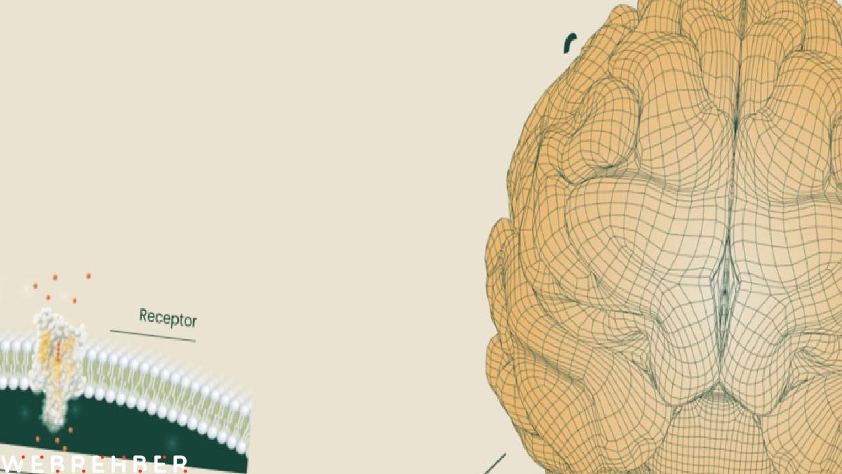Neuralink rakibi şirket, beyin implantı için ABD’den onay aldı