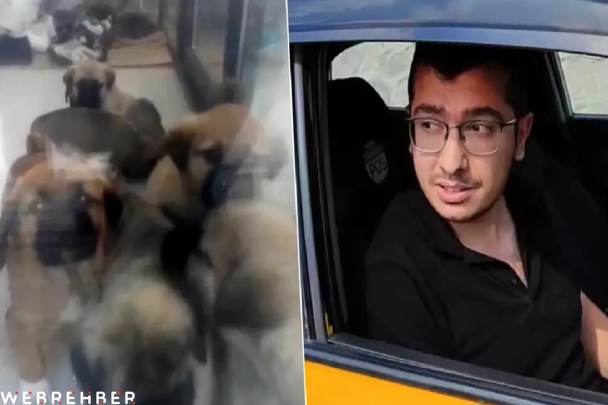 Parçalayıp öldürdüğü köpek sayısı 26’ya ulaştı! Doktordan akılalmaz savunma