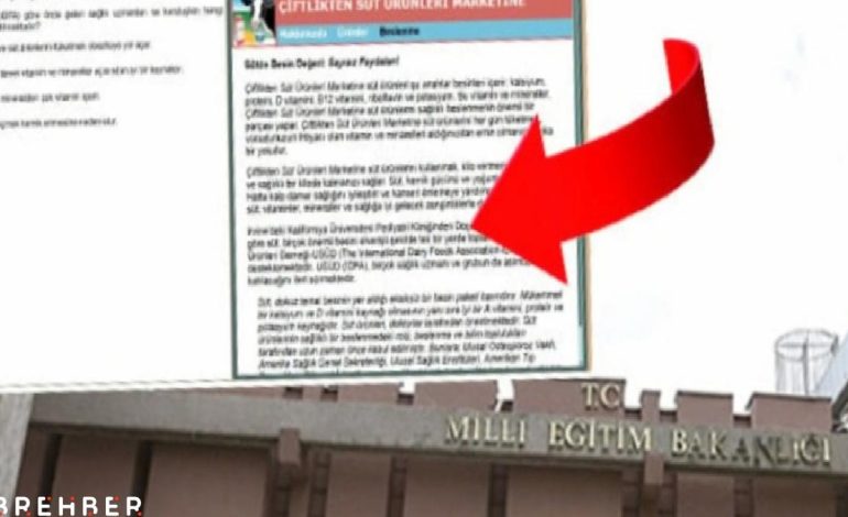 PISA’da pis kokular