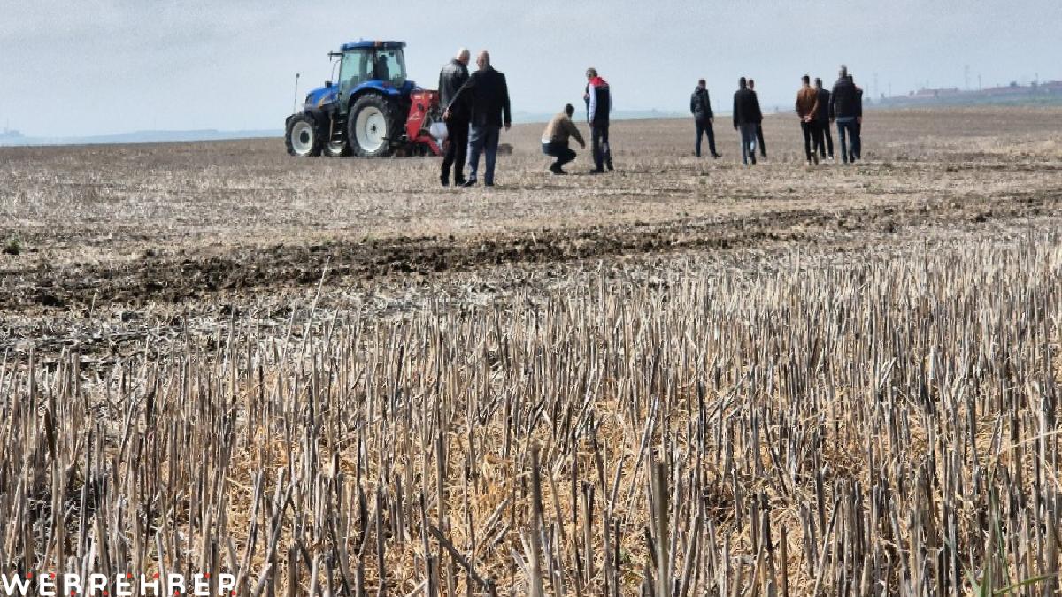 Tekirdağ’da başlayan anıza ayçiçeği ekimi, Türkiye’ye örnek olmaya aday