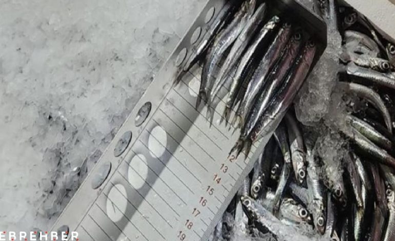 Trabzon’da av sezonunda yasaları çiğneyenlere rekor cezalar kesildi