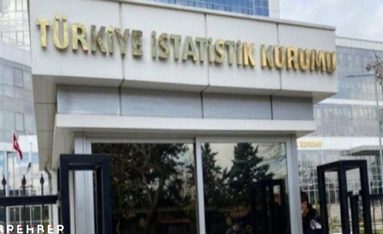 TÜİK verileri ‘özgün eser’ diye gizledi