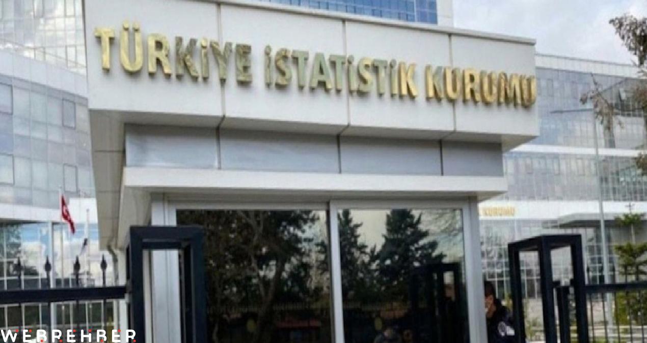 TÜİK verileri ‘özgün eser’ diye gizledi