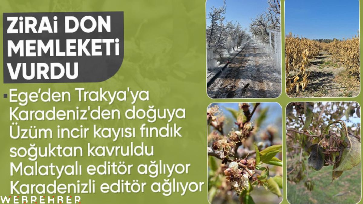 Türkiye, tarihin en büyük zirai don süreçlerinden birinden geçiyor