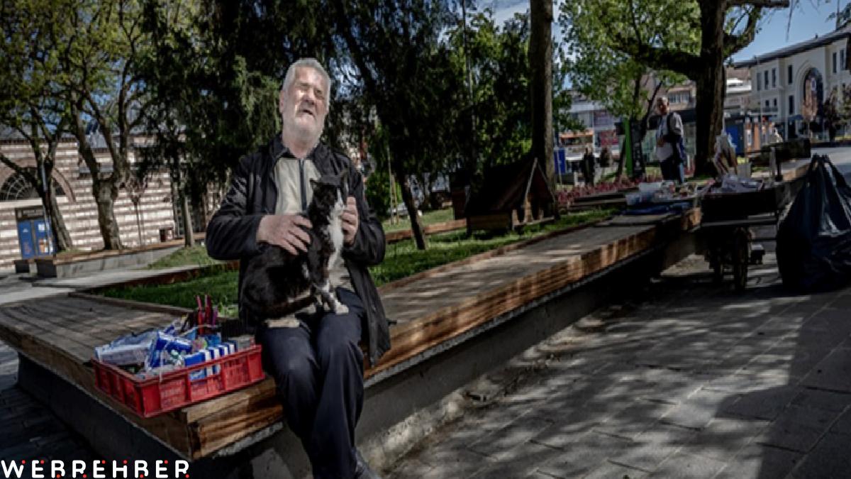 Üsküdar’da sokak kedisi, görme engelli seyyar satıcıya yoldaş oldu