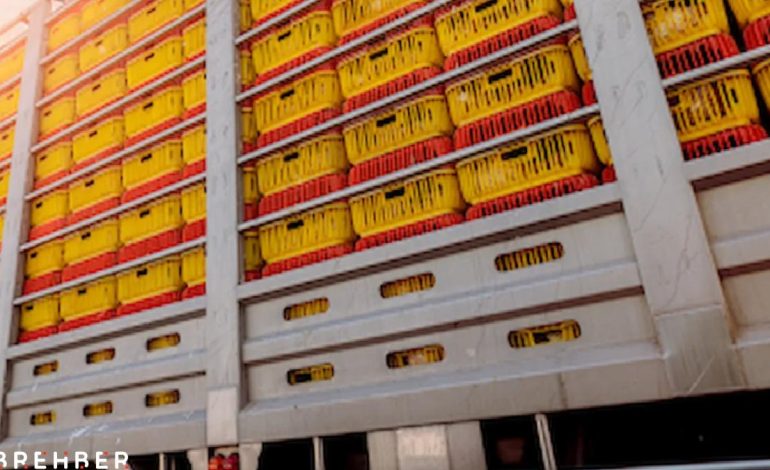 Yasak kalktı, zehirli limonlar Türkiye’ye iade edildi