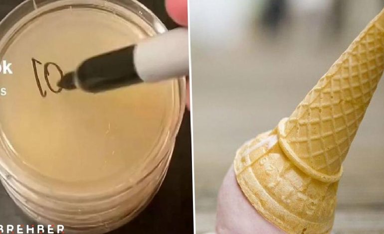 Yere düşen yiyeceklerde ‘5 saniye kuralını’ inceledi: Bilim insanı bile şaşırdı