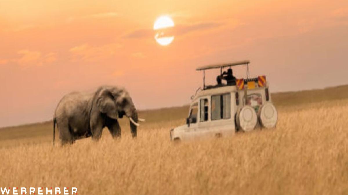 Yeryüzünün kalbine yolculuk: Afrika’nın Son Dansı