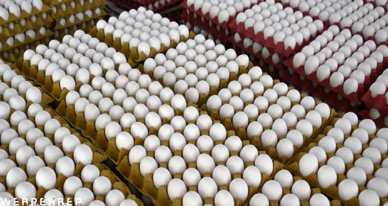 Yumurta fiyatlarında sert düşüş: İhracat kısıtlaması etkili oldu