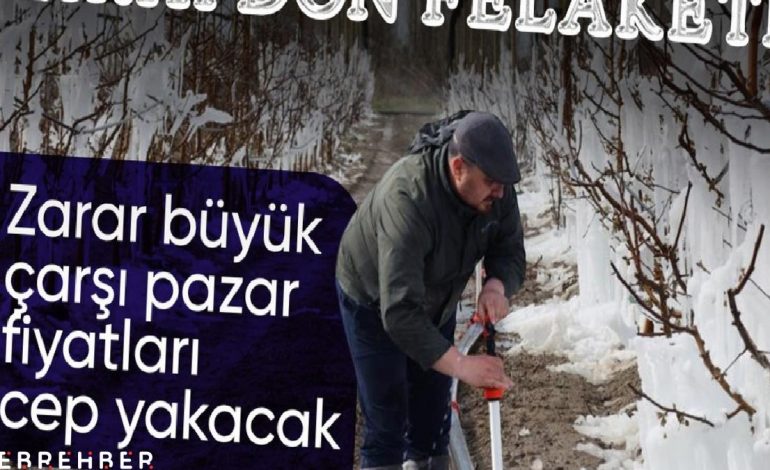 Zirai don felaketinin boyutları büyüdü! Fiyatlara yansıması bekleniyor