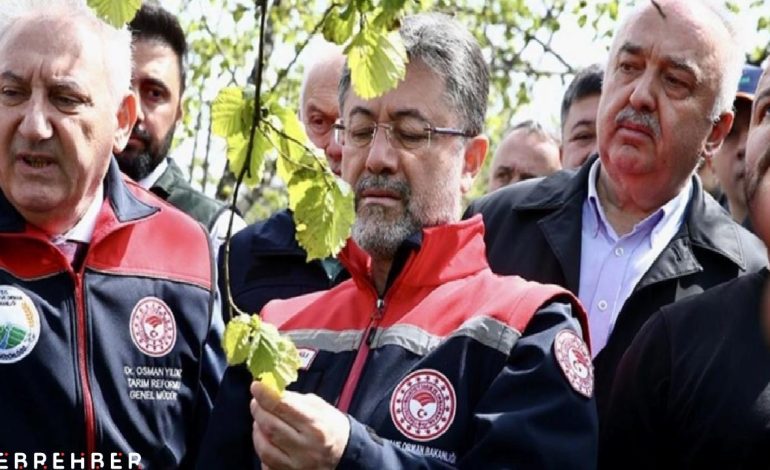Zirai don vuran 16 meyve türü için destek açıklaması