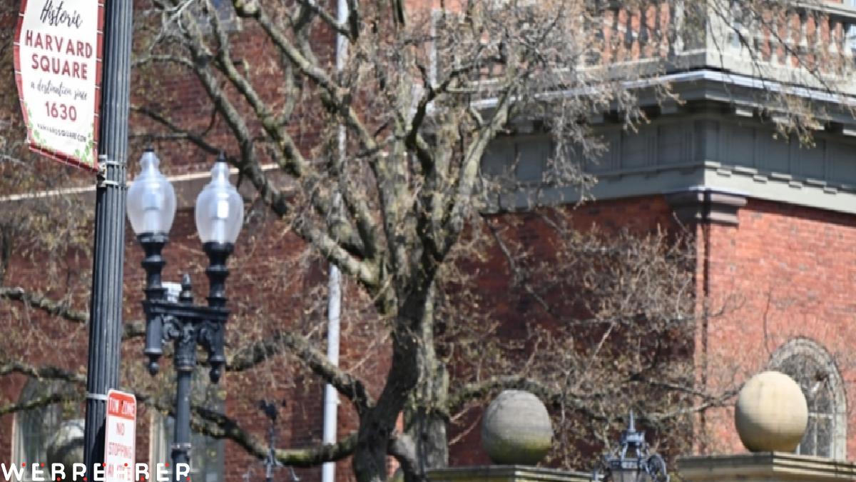 ABD Eğitim Bakanlığı: Harvard’a yeni federal fon verilmeyecek